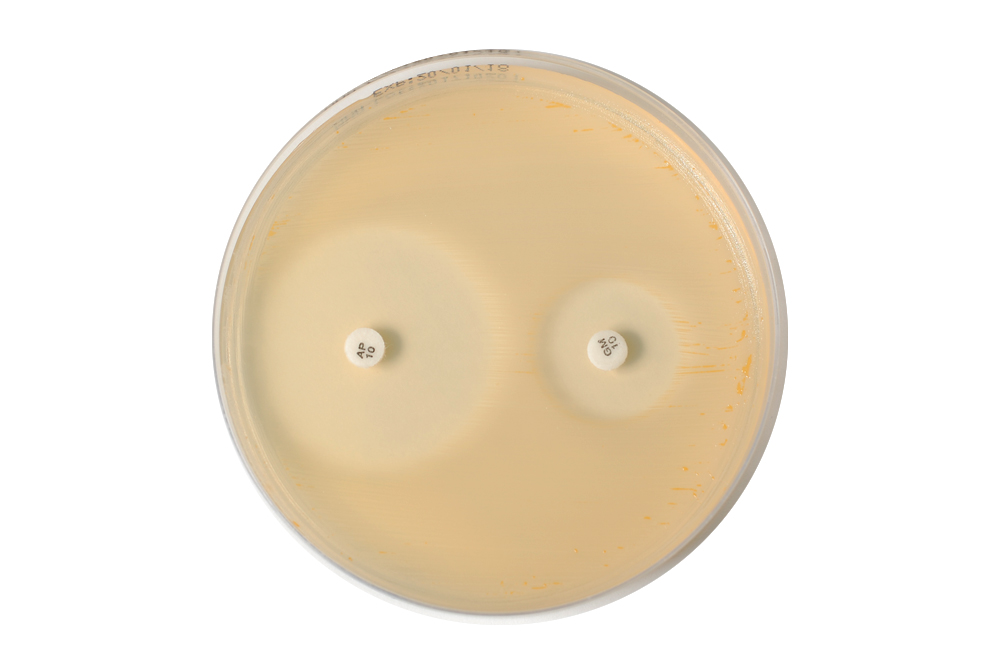 MELAB Mueller Hinton Agar